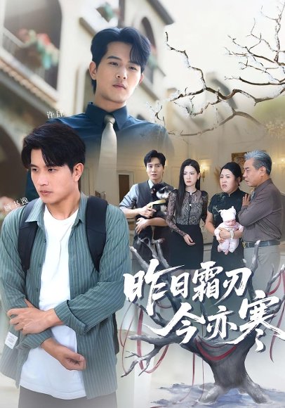 昨日霜刃今亦寒（80集）梅瑞滢&李刘朋 高清完整版