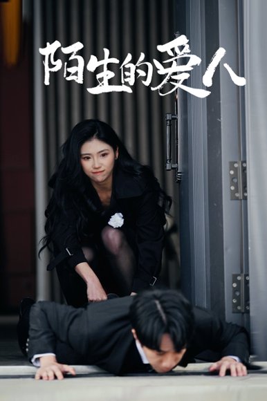 陌生的爱人（60集）骆虹宇 高清完整版