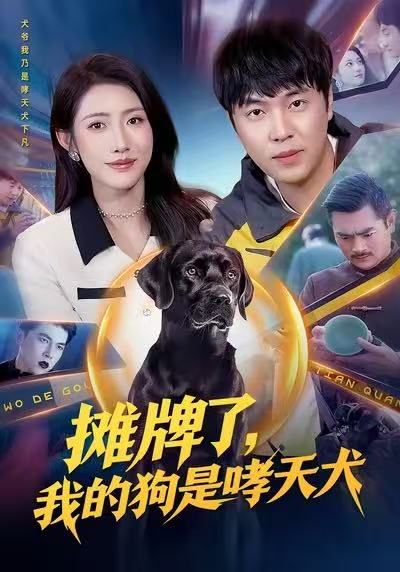摊牌了，我的狗是哮天犬（98集）刘晨宇&张如意 高清完整版