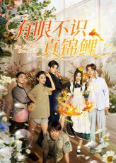 有眼不识真锦鲤（35集）刘凯&尹玲 高清完整版